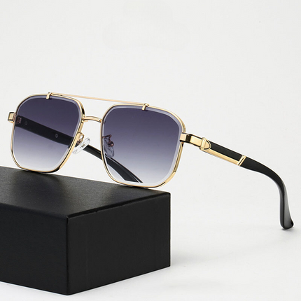 Lunettes de soleil Paragon