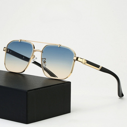 Lunettes de soleil Paragon