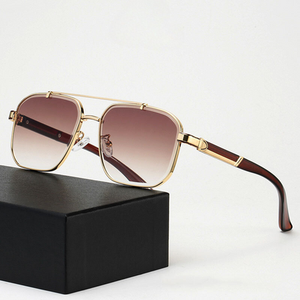 Lunettes de soleil Paragon