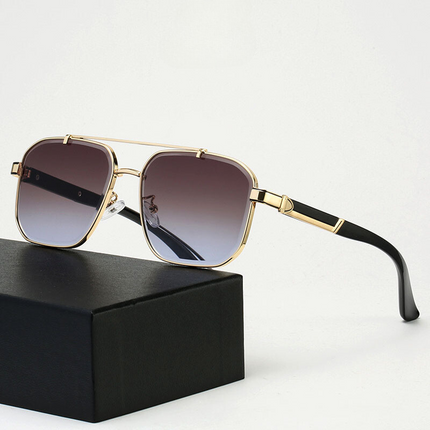 Lunettes de soleil Paragon
