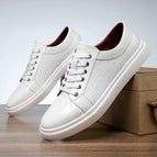 White / 6