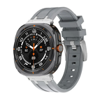 Gray / Titanium