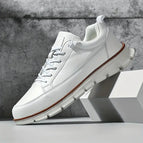 White / 6