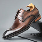 Brown / 6